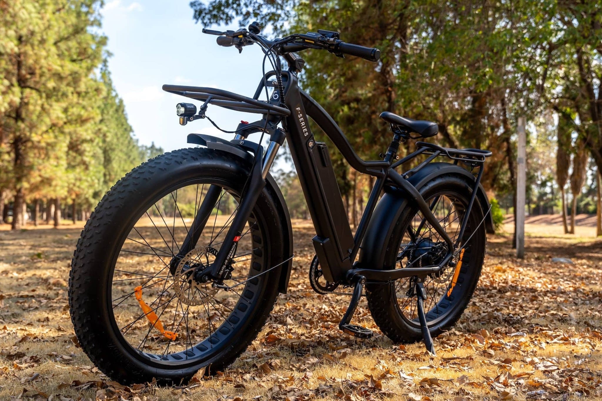 FX-Series 750 Fat Tire Bike - Image 3